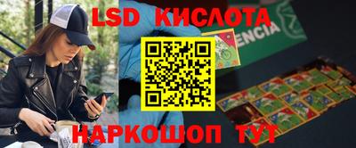 СК Донецк