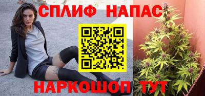 стафф Донской