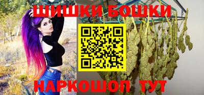 стафф Донской