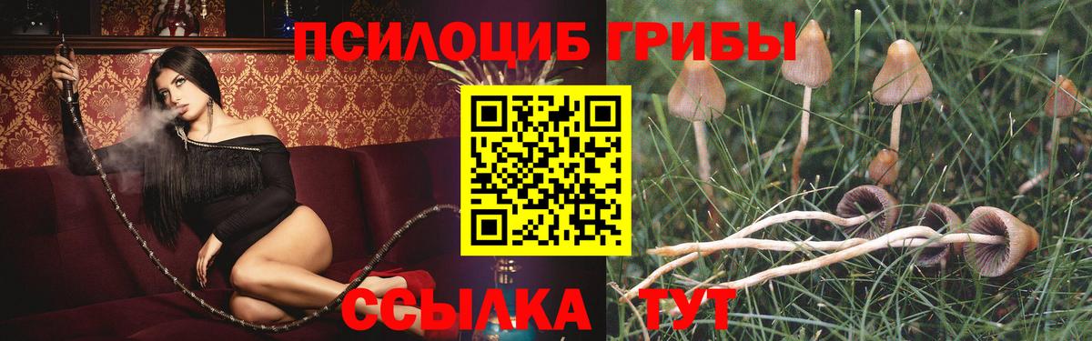 Псилоцибиновые грибы Magic Shrooms Новый Уренгой