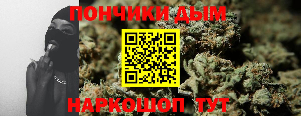 Шишки марихуана план Новый Уренгой